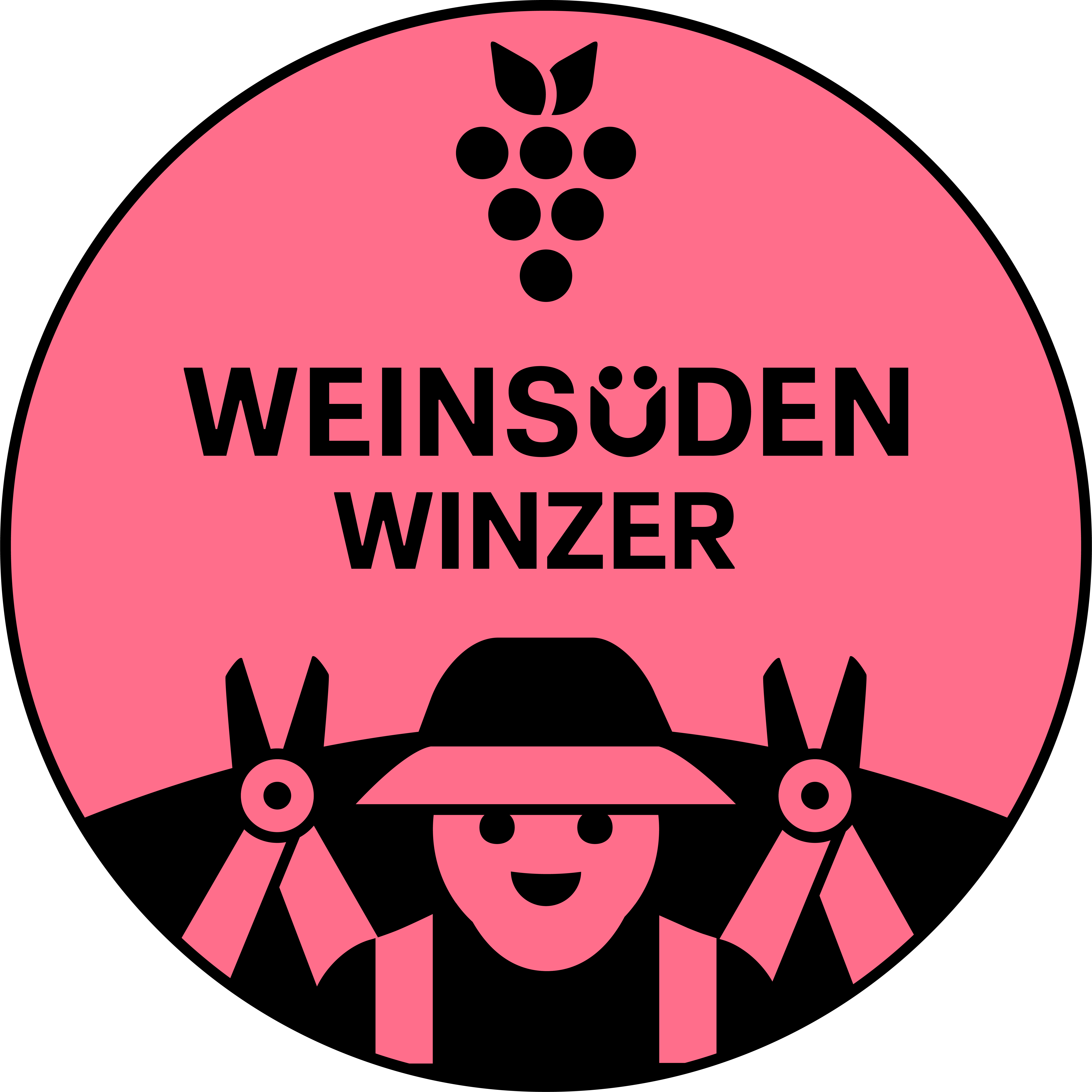 Wein-Süden Siegel