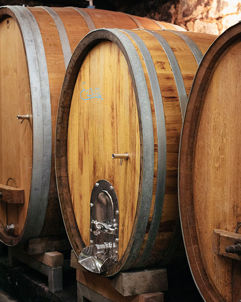 Eindruck vom Weingut Maier